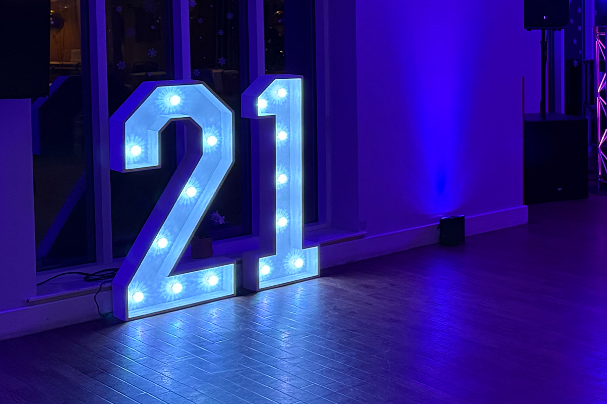 21 Light Up Numbers